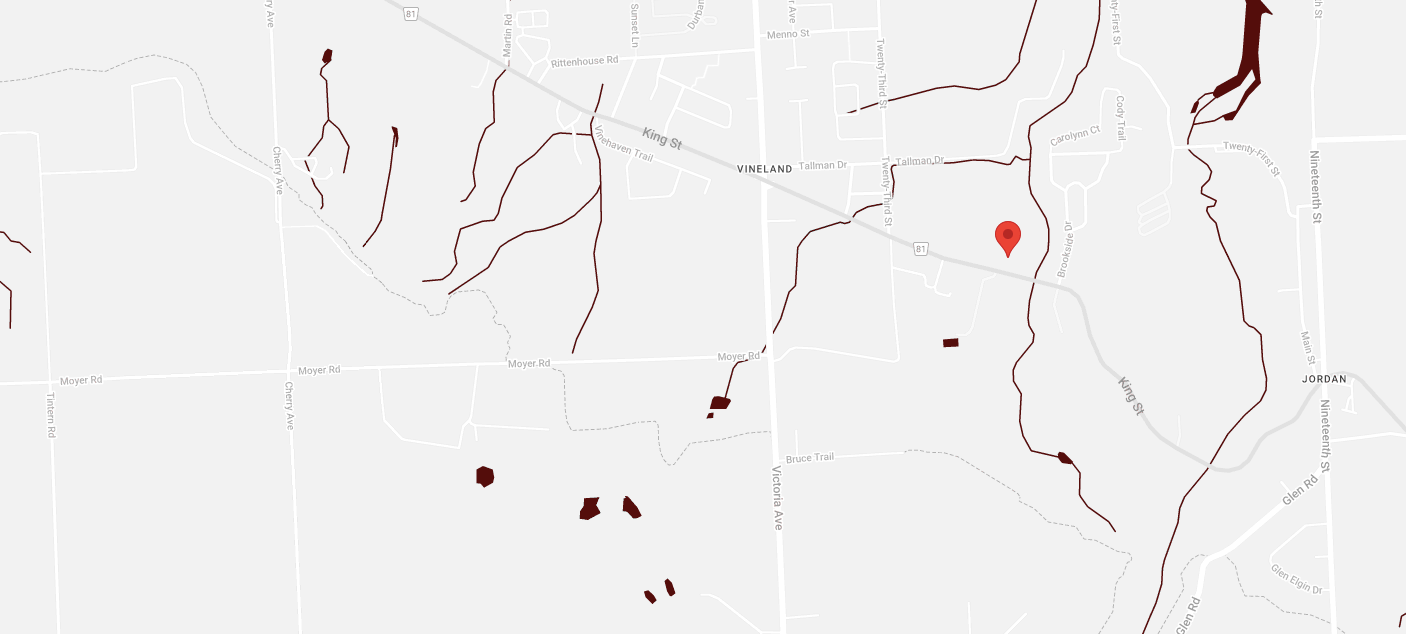 map showing pin in 3201 King St, Vineland, ON L0R 2C0